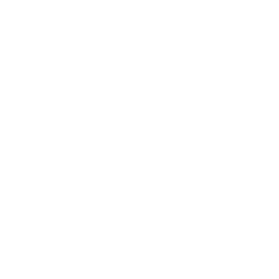 Wordpress CMS